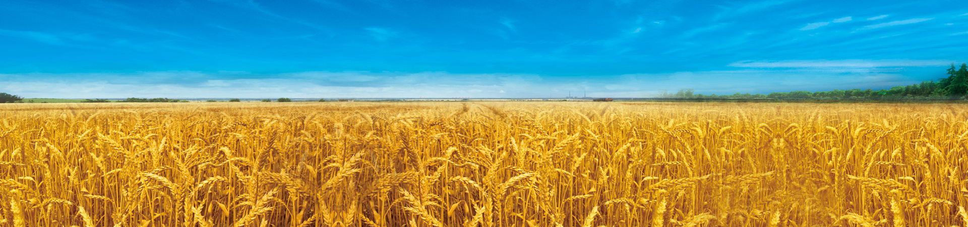 ABUIABACGAAgsJeHzAUorNuLQzCADzjCAw